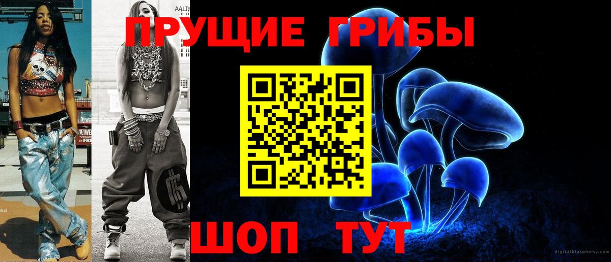 Вологда  дарнет шоп  Вход с VPN  Псилоцибиновые грибы мицелий  Галлюциногенные грибы GOLDEN TEACHER 